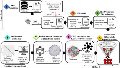 Discovering common pathogenic processes between COVID-19 and HFRS by integrating RNA-seq differential expression analysis with machine learning